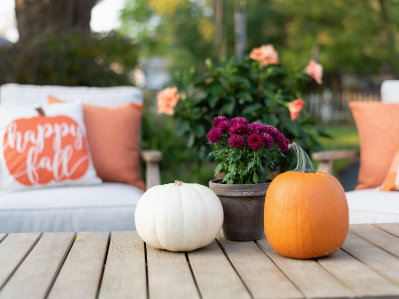 Guide to Creating a Cozy and Festive Fall Atmosphere for Backyard Gatherings