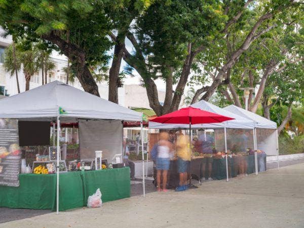 8 Tips for Buying a Vendor Tent for Festivals